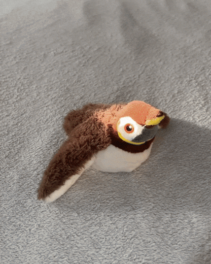 FlappyChase Fun Bird